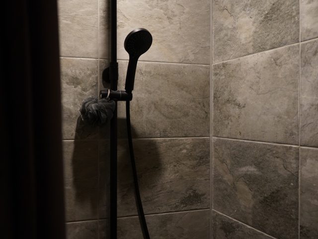 Du&scaron;as telpa pirtī